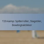 T20-kamp: Spillerroller, Slagstiler, Bowlingtaktikker