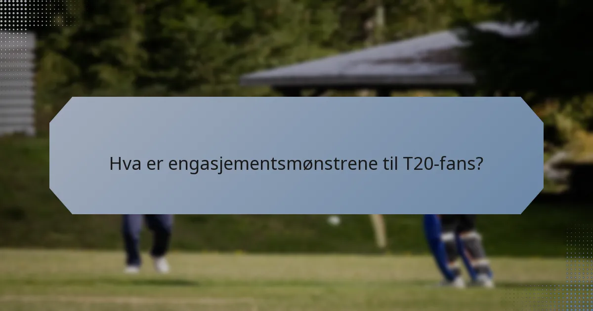 Hva er engasjementsmønstrene til T20-fans?