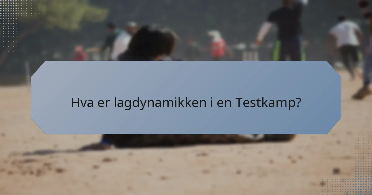 Hva er lagdynamikken i en Testkamp?