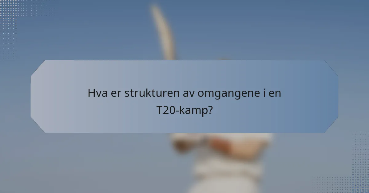 Hva er strukturen av omgangene i en T20-kamp?