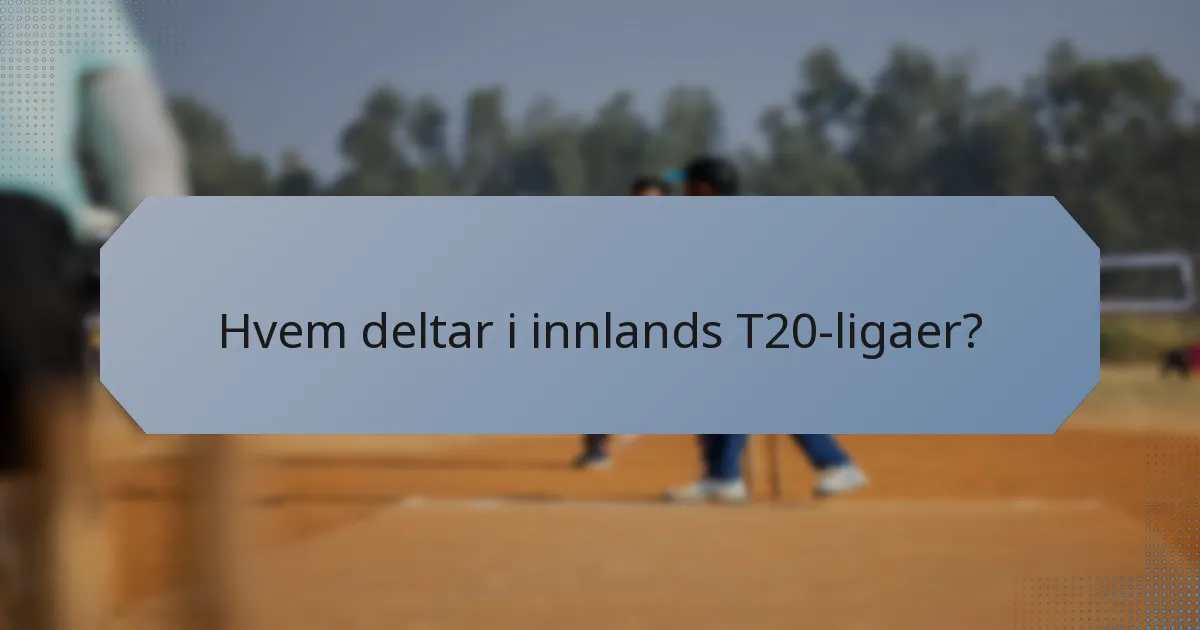 Hvem deltar i innlands T20-ligaer?