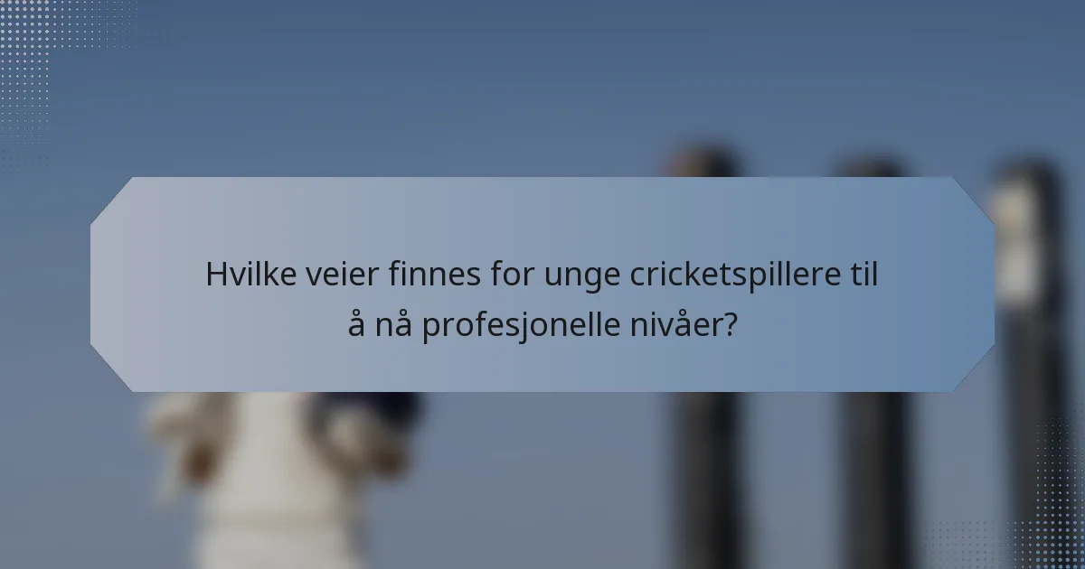 Hvilke veier finnes for unge cricketspillere til å nå profesjonelle nivåer?