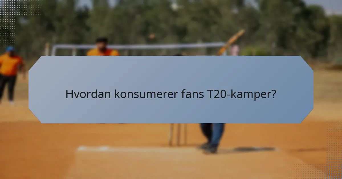 Hvordan konsumerer fans T20-kamper?